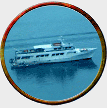 M/V Arctic Wolf landing craft
www.Ocean-Explorers.com