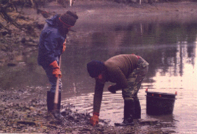 Environmental Studies Expedition