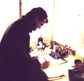 Environmental Studies